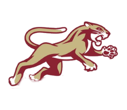 Lakeville South Boys Volleyball logo