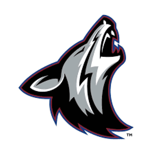 Heron Lake-Okabena/Fulda Girls Basketball logo