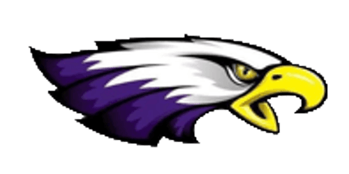 Red Wing Boys Basketball logo