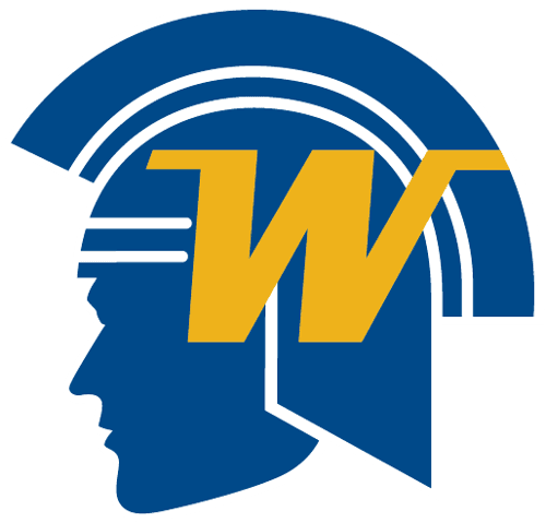 Wayzata Boys Volleyball logo