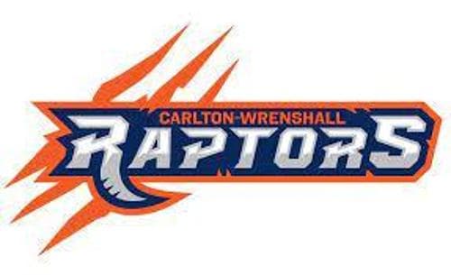 Carlton/Wrenshall Baseball logo