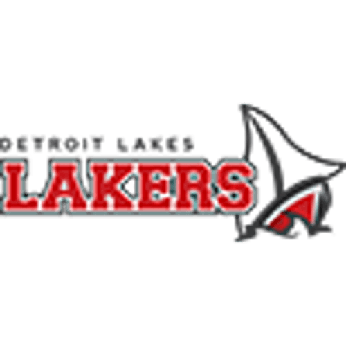 Detroit Lakes Girls Basketball logo