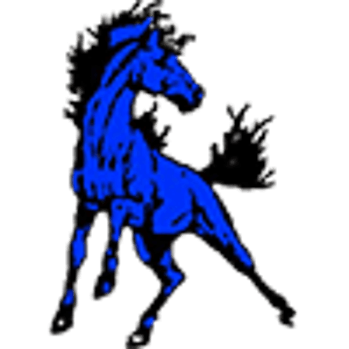 Buffalo Lake-Hector-Stewart Baseball logo