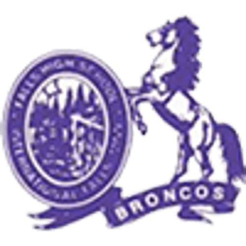 International Falls Softball logo