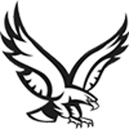 New York Mills Softball logo