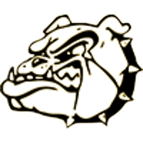 Plainview-Elgin-Millville Girls Volleyball logo