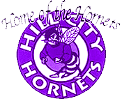 Hill City Boys Basketball logo