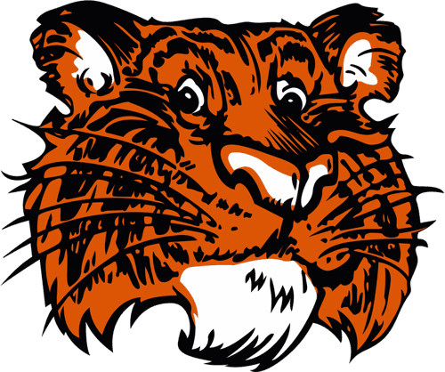 Browerville Girls Volleyball logo