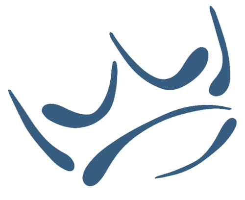 Minnetonka Christian Boys Basketball logo