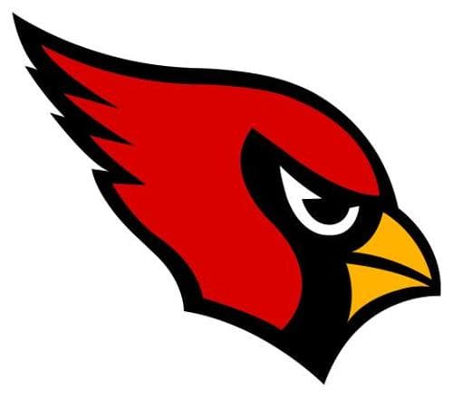 Coon Rapids Boys Volleyball logo