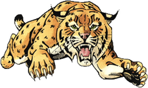 Chisago Lakes Girls Ice Hockey logo