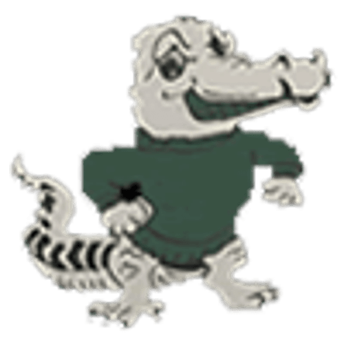 Badger/Greenbush-Middle River Boys Basketball logo