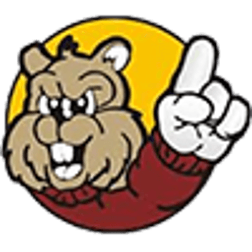 Chatfield Baseball logo