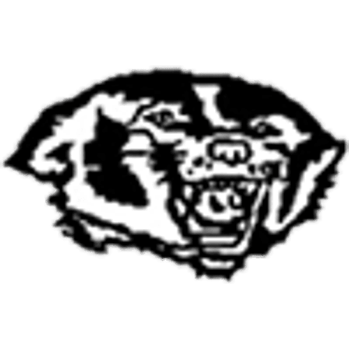 Glenville-Emmons/Alden-Conger Baseball logo