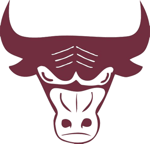 South St. Paul Girls Volleyball logo