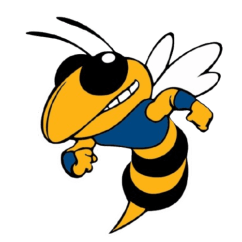 Big Lake Girls Flag Football logo
