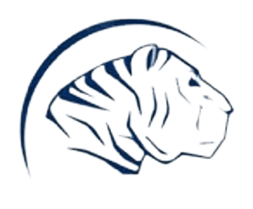 Community of Peace Girls Volleyball logo