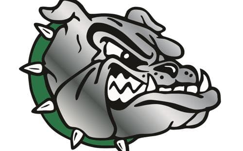 Paynesville Area Boys Basketball logo